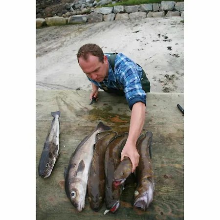 Feriehus 6 Person In Aram-by Traum Sandvik (More og Romsdal)