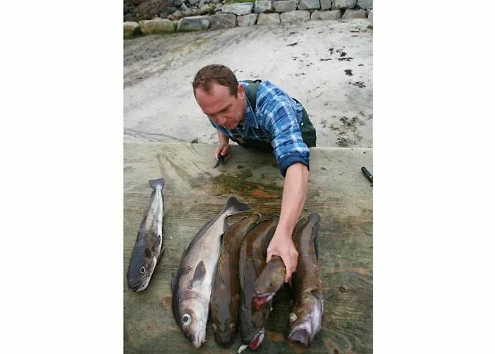 Feriehus 6 Person In Aram-by Traum Sandvik (More og Romsdal)